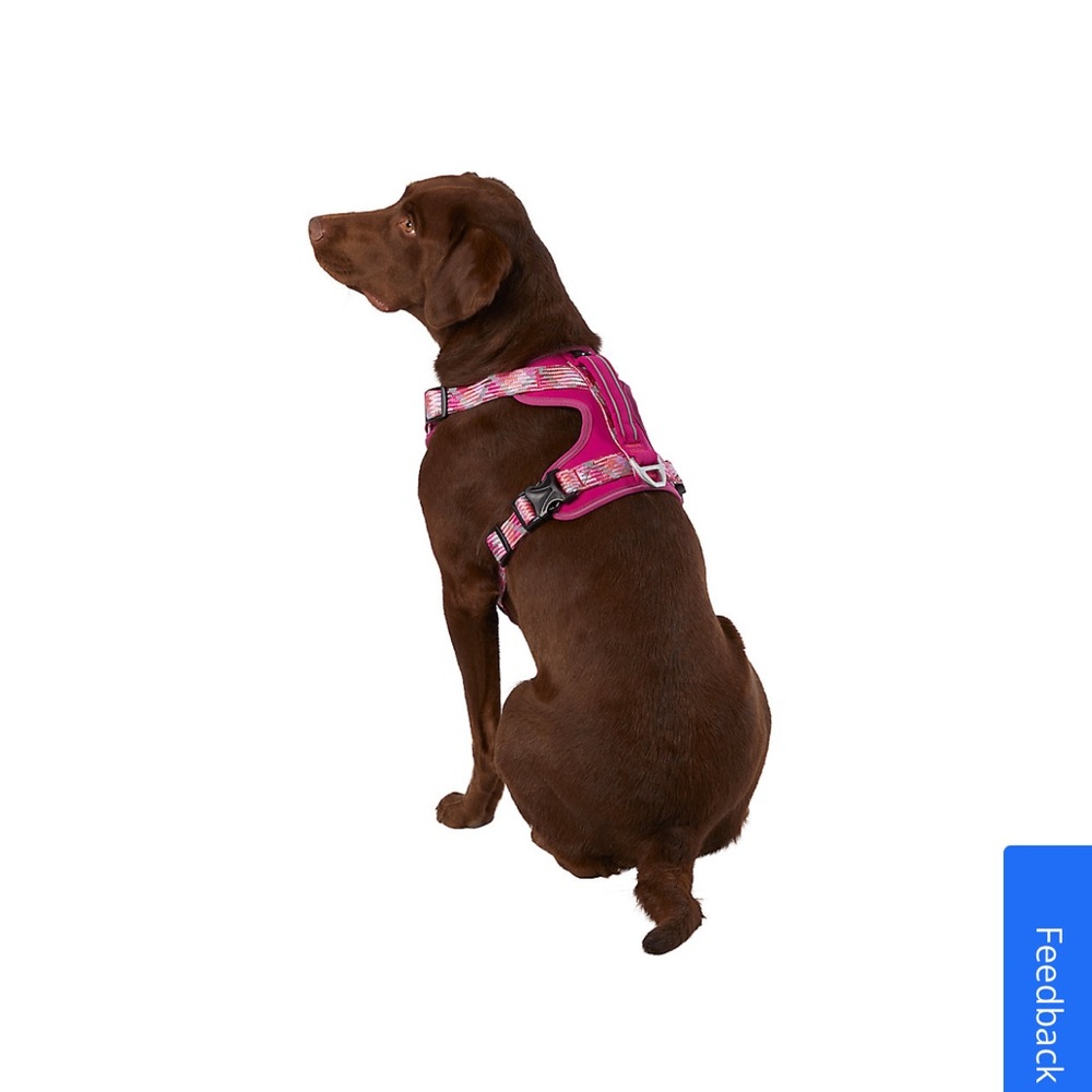 small dog harness - Picture 10 of 13